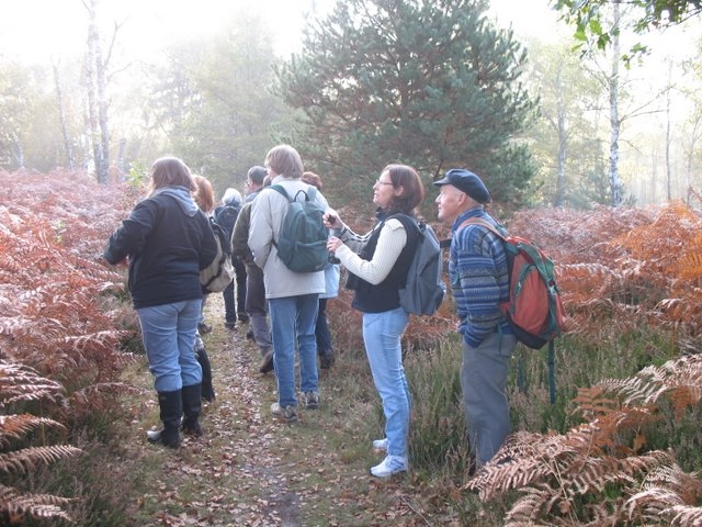 2007 10 Bois de Rochefort 02
